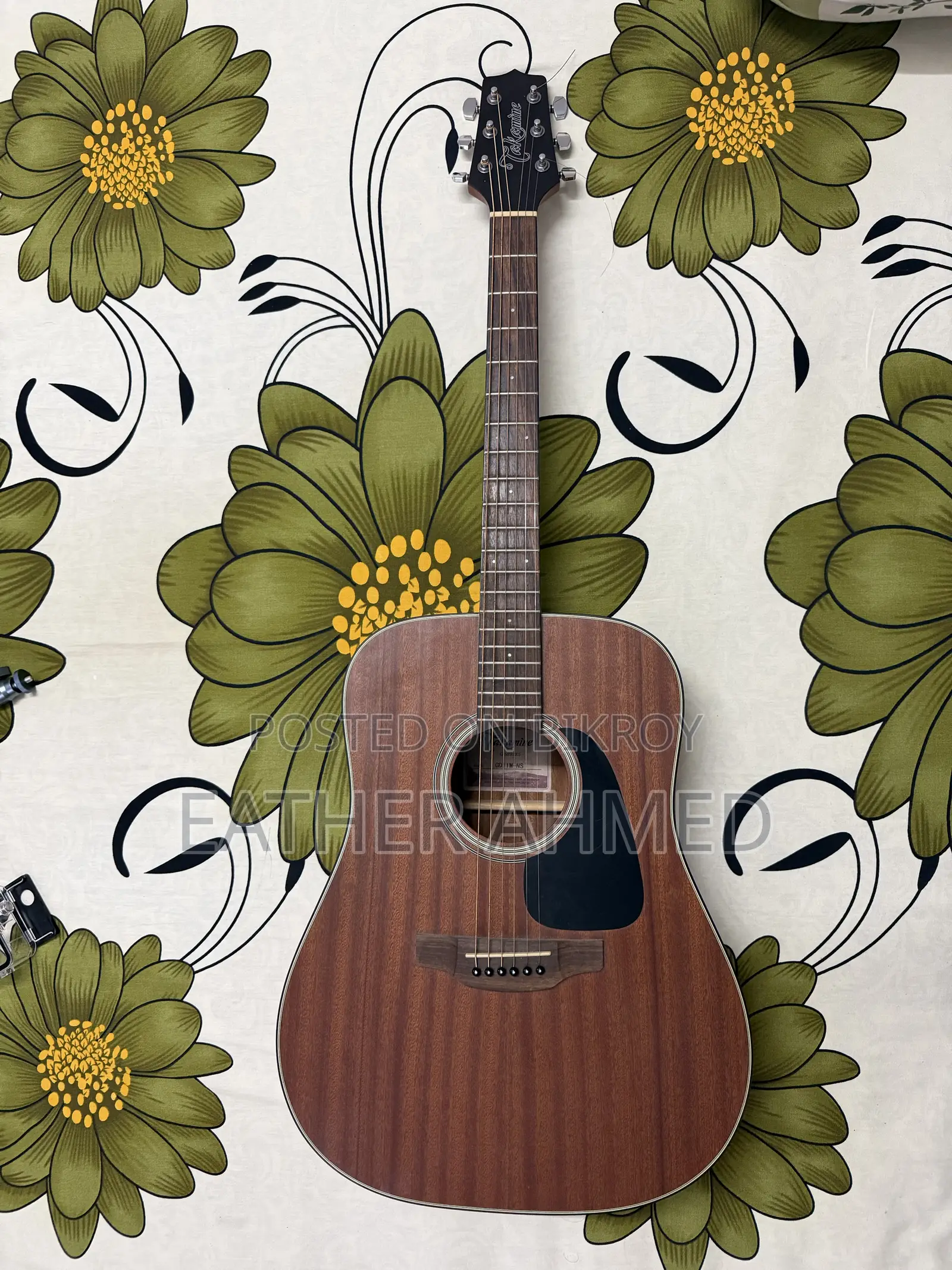 Takamine Acoustic Guitar(Gd11m)