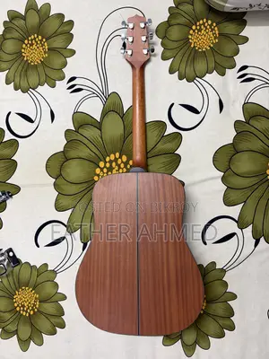 Takamine Acoustic Guitar(Gd11m)
