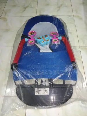 Baby Bouncer