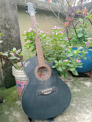 গিটার বিক্রয় হবে