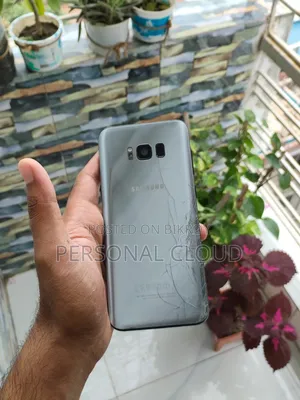 Samsung Galaxy S8 Plus 64 GB Silver