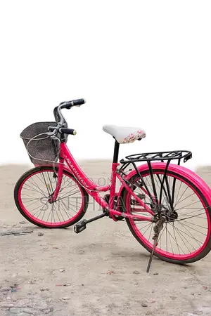 Ladies Bicycle for Sale