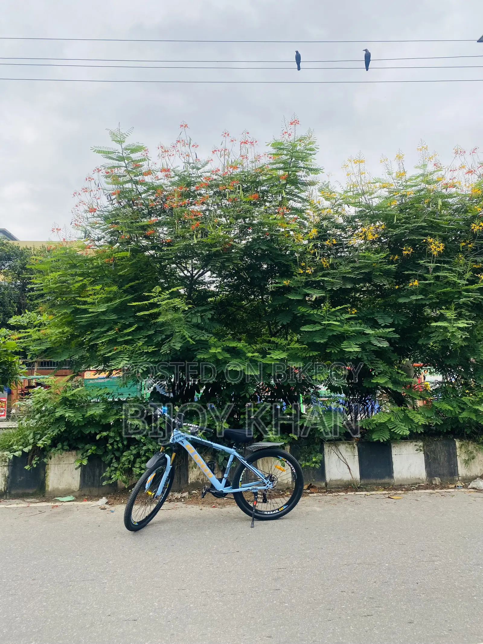Akij Bondhu 2025 Blue