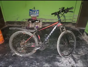 Totem Honor 300 Mountain Bike for Sale