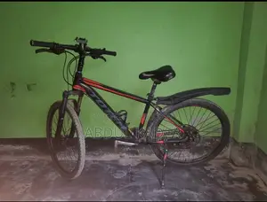 Totem Honor 300 Mountain Bike for Sale