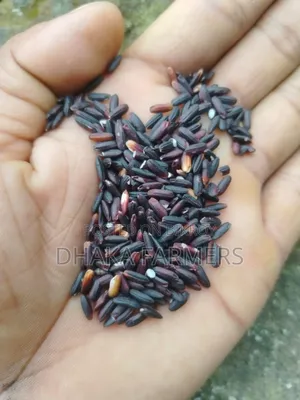 Black Rice