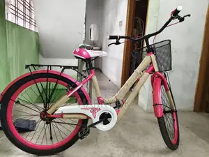 ব্র্যান্ড নিউ সাইকেল