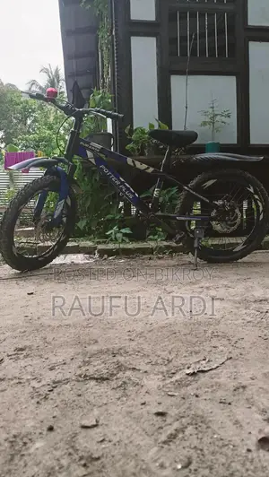 দুরন্ত ২০" বাচ্চাদের সাইকেল | সাপোর্ট চাকা অন্তর্ভুক্ত | সম্পূর্ণ
