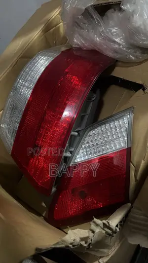 ২০০৯ প্রিমিও অরিজিনাল জাপান ব্যাক লাইট জোড়া