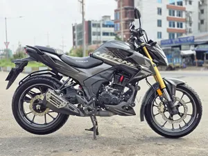 হোন্ডা হর্নেট ২০২৫ গ্রে