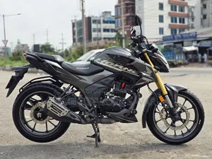 হোন্ডা হর্নেট ২০২৫ গ্রে