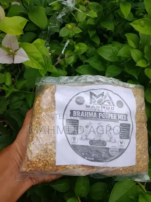 ব্রাহমা পাওয়ার মিক্স ফুড