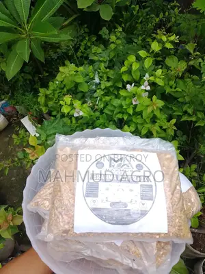 ব্রাহমা পাওয়ার মিক্স ফুড