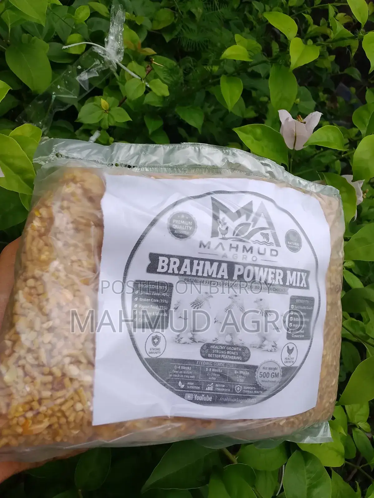 ব্রাহমা পাওয়ার মিক্স ফুড