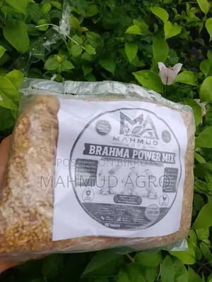 ব্রাহমা পাওয়ার মিক্স ফুড
