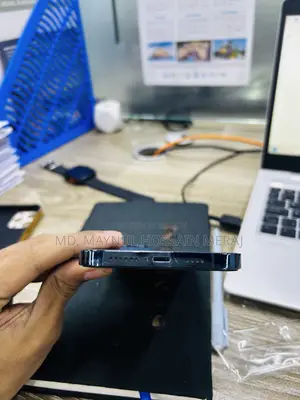 Apple iPhone 12 Pro Max 256 GB Blue