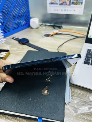 Apple iPhone 12 Pro Max 256 GB Blue