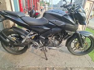 Bajaj Pulsar NS 160 2019 Gray