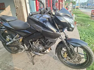 Bajaj Pulsar NS 160 2019 Gray