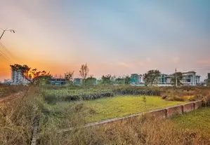 M Block 5 Katha South Facing Plot Sell