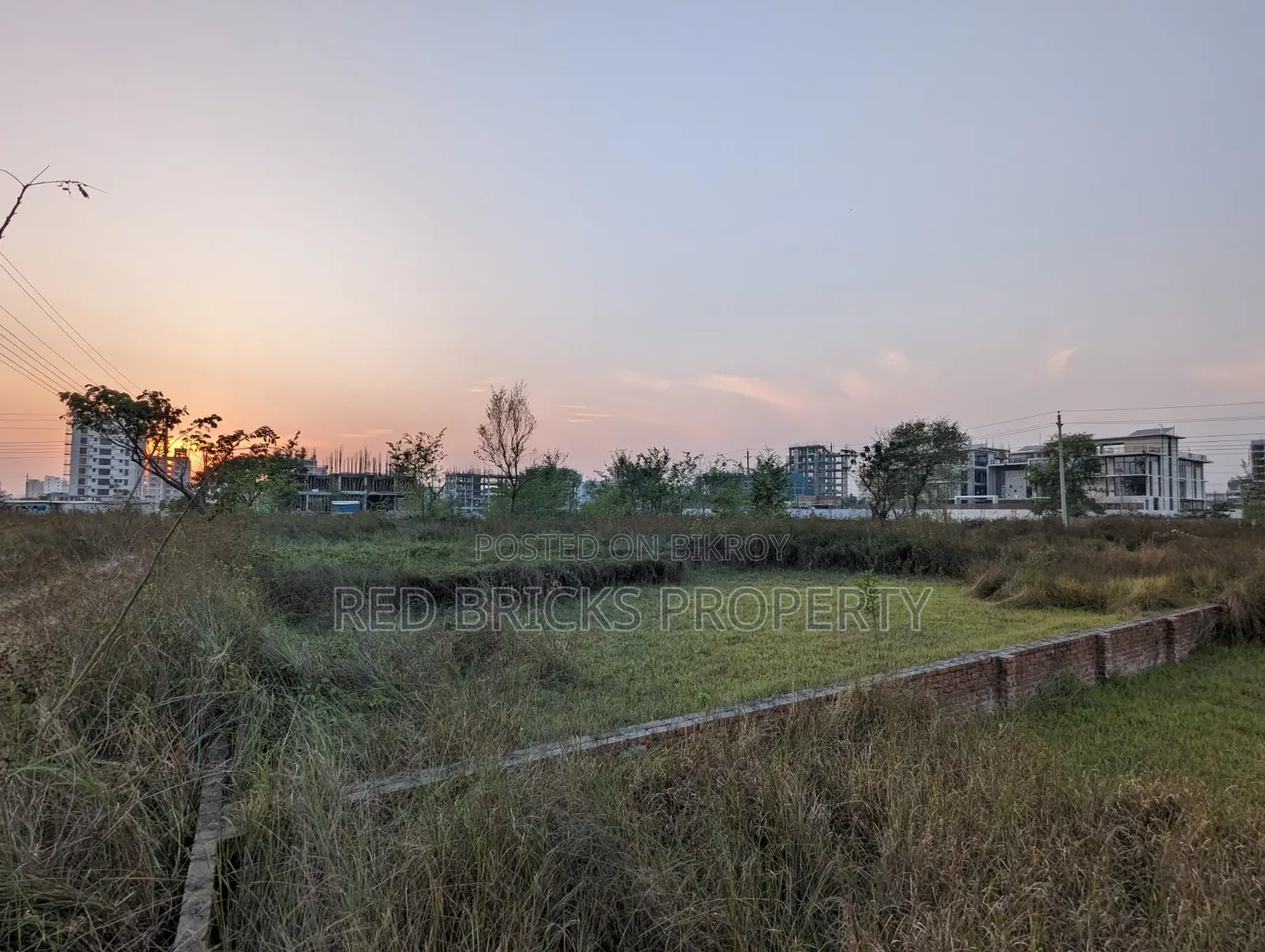 M Block 5 Katha South Facing Plot Sell