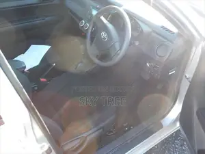 Toyota Axio 2020 Silver