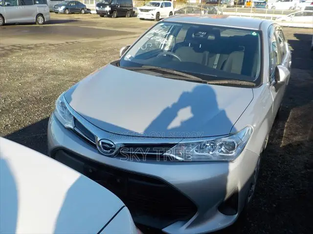 Toyota Axio 2020 Silver