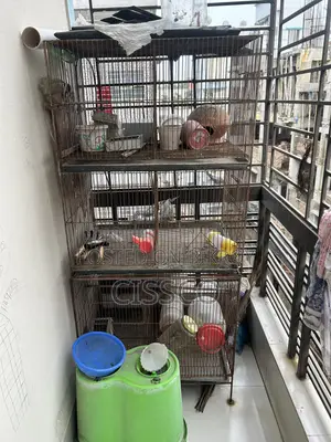 Bird Cage Height 50, Length 24, Width 18, Weight 5-7 Kg