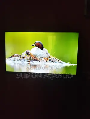 Urgent Sale: Eco+ 32" LED TV (Excellent condition, just like new)