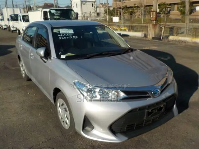 Toyota Axio 2021 Silver