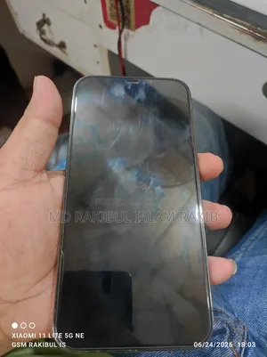 অ্যাপল আইফোন ১২ প্রো ম্যাক্স ২৫৬ জিবি ব্লু