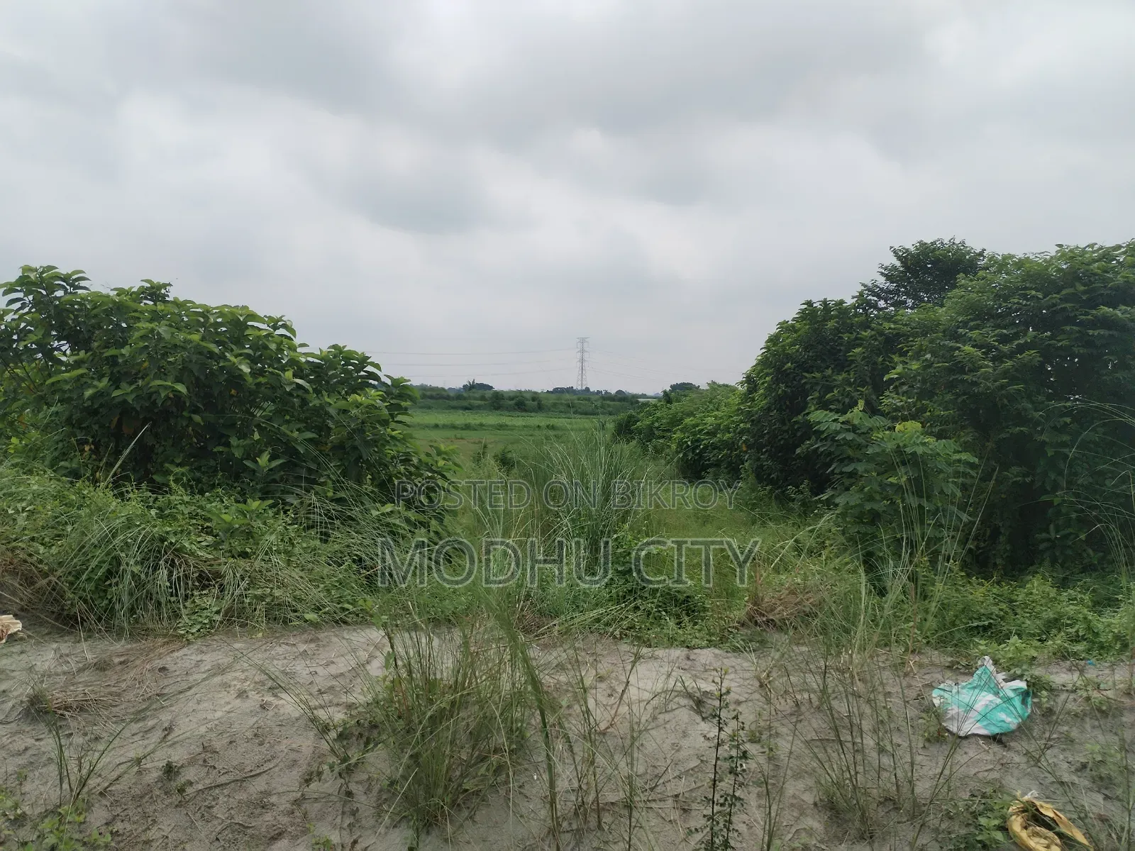 Plot Sell in Near School