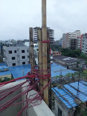 Bamboo / Bamboo