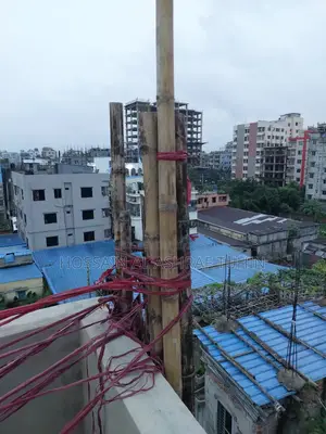 Bamboo / Bamboo