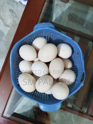 দেশি মুরগির ডিম বিক্রি করা হয়