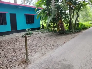 Furnished 4-bedroom House in Basatbari, Babuganj for Sale