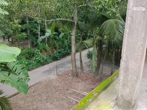 Furnished 4-bedroom House in Basatbari, Babuganj for Sale