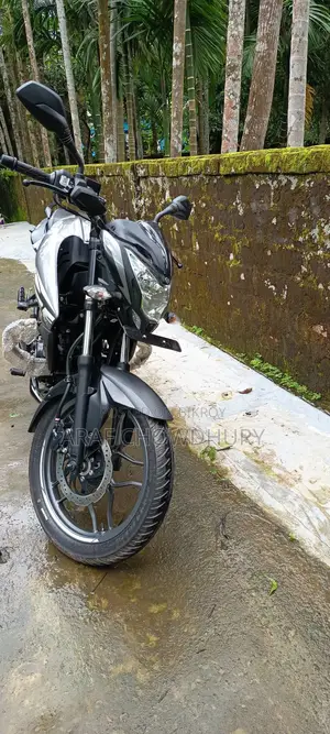 New Bajaj Pulsar NS125 2026 Gray