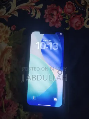 অ্যাপল আইফোন ১২ প্রো ম্যাক্স ২৫৬ জিবি ব্লু