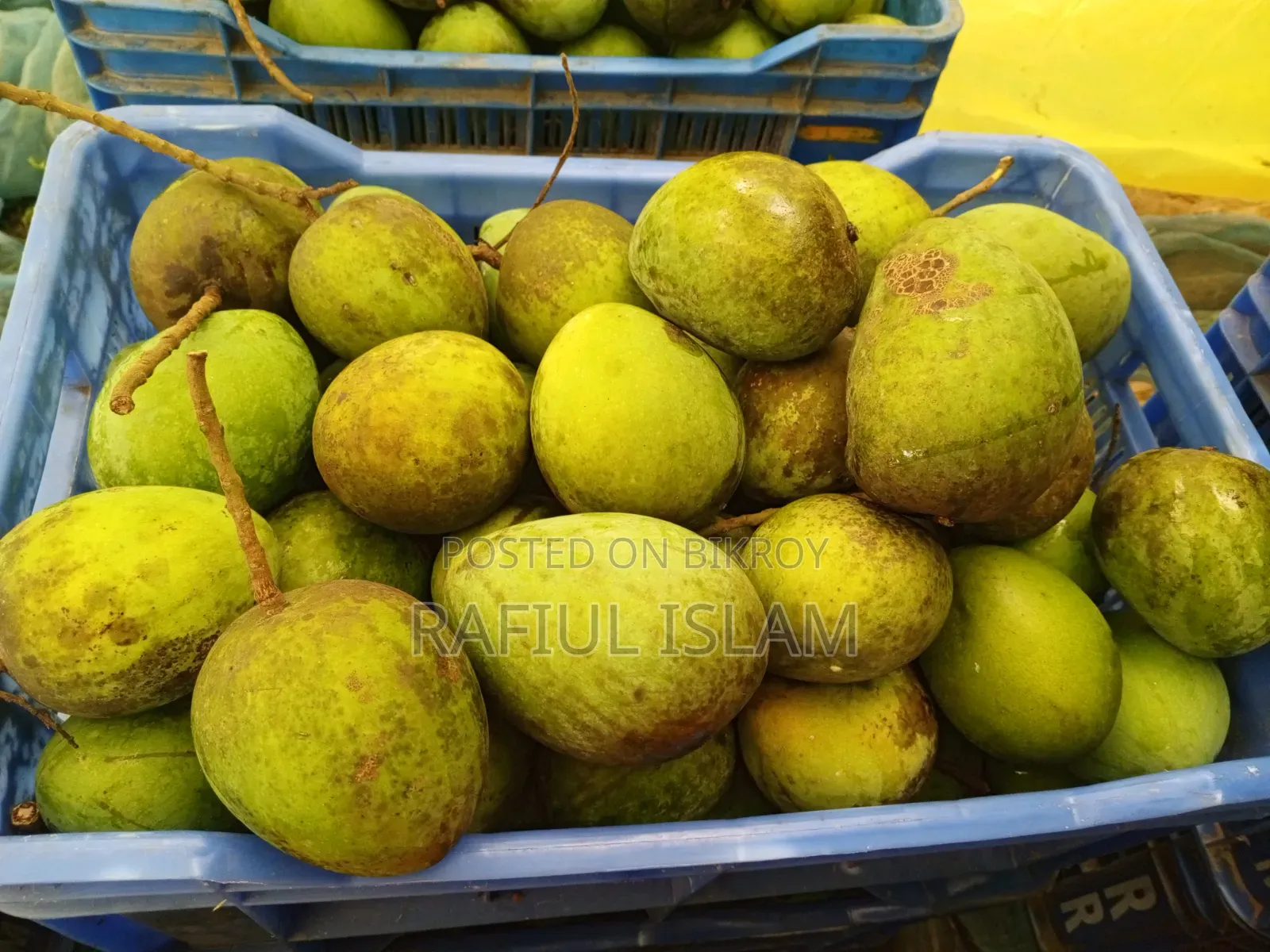 রংপুরের হাড়িভাঙ্গা সারাদেশে বিক্রির জন্য বিজ্ঞপ্ত