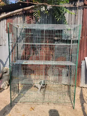 কবুতর এর খাঁচা ৮ খোপ টেরে ও ৮ পিস আছে