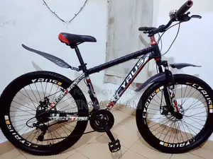 Phoenix Mountain Cycle, 26" Used but Good Condition