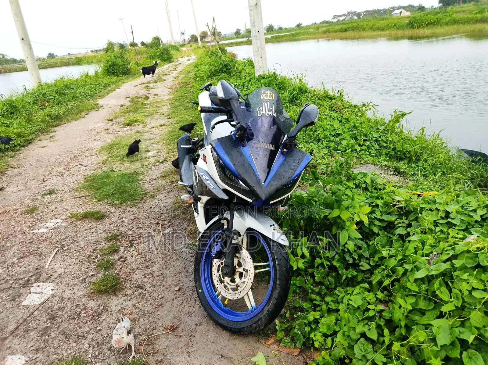 Yamaha R15 V2 2019 White