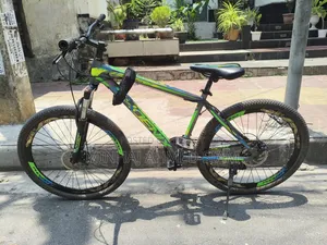 Phoenix 26"