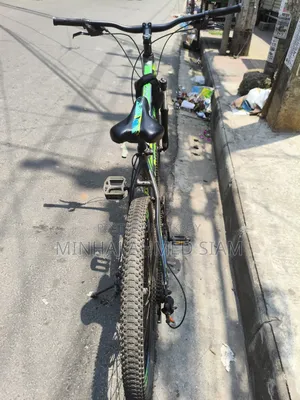 Phoenix 26"