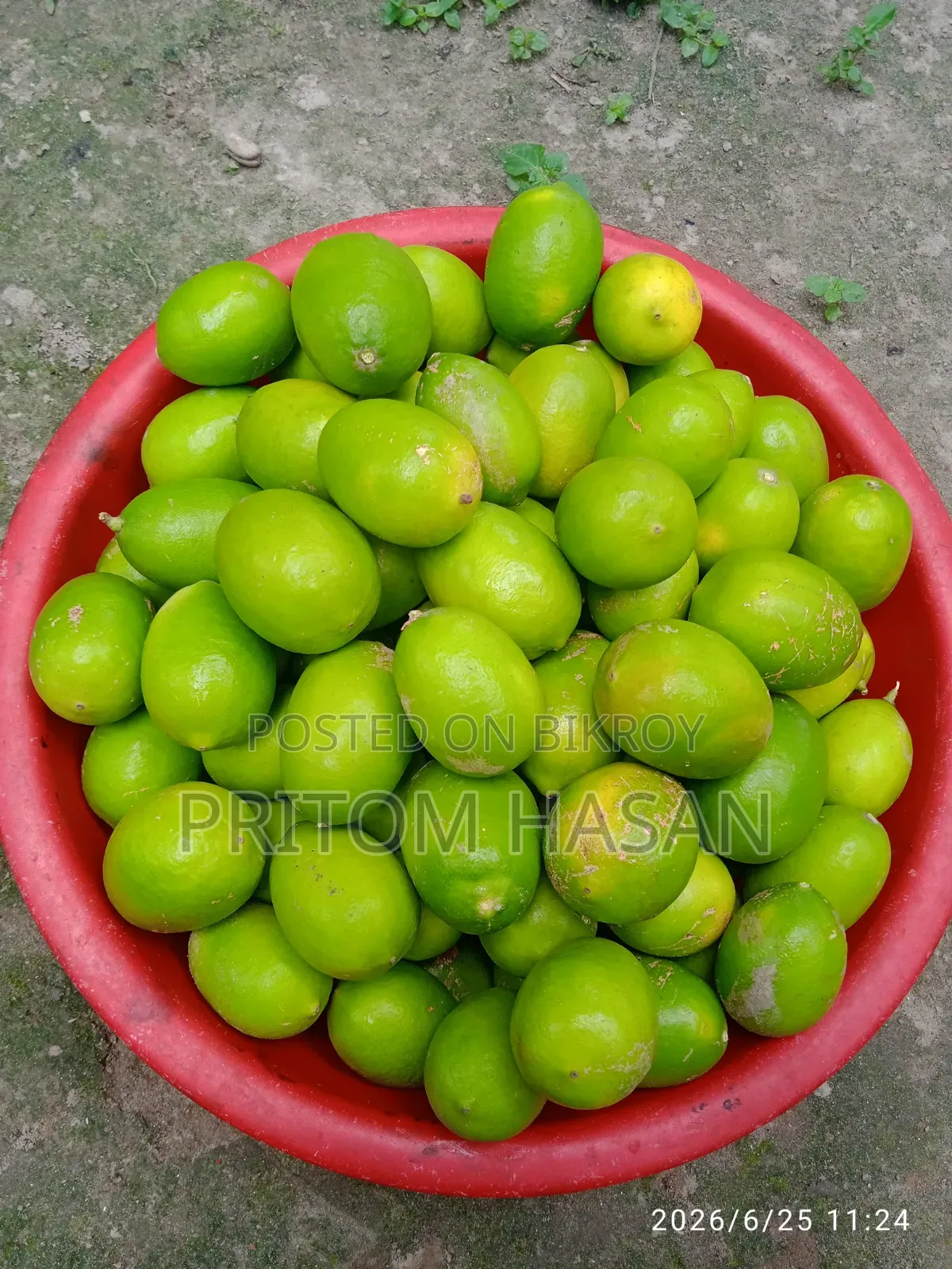 Local Kagji Lemon. Organic Lemon