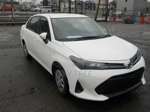 Toyota Axio 2024 White