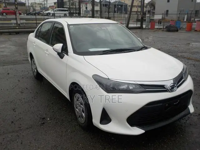 Toyota Axio 2024 White