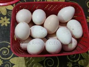 দেশি মুরগীর ডিম বাচ্চা