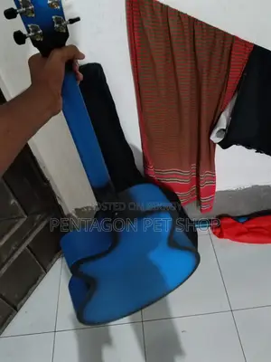 Acoustic Guitar for Sale